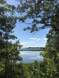 Scenic view of lake in forest against sky