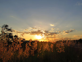 Scenic view of field against sky during sunset