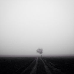 Road passing through field in foggy weather