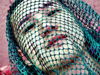 Close-up portrait of man covered in net