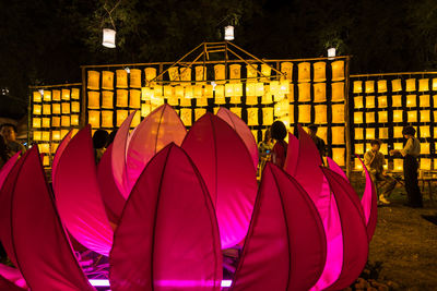 Panoramic view of pink flowers at night