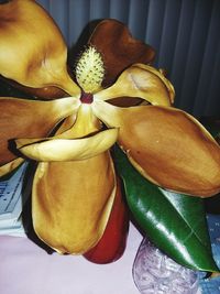 Close-up of flowers