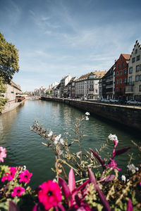 Scenic view of river by buildings against sky