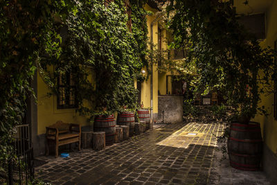 Potted plants on footpath by building