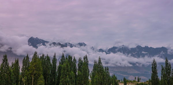 Panoramic view of landscape against sky