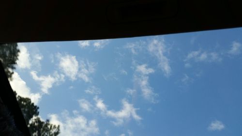 Low angle view of trees against cloudy sky