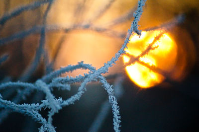 Close-up view of snow