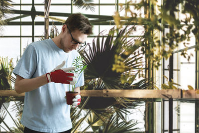 Young man holding potted plant