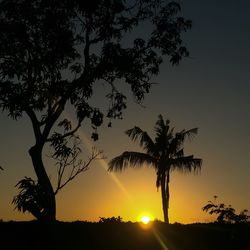 Silhouette of trees at sunset