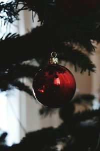 Close-up of christmas decorations hanging on tree