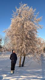 Rear view of man walking on snow covered landscape