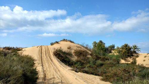 Dirt road amidst trees against sky