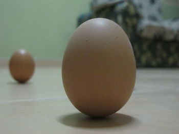 Close-up of object on table