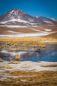 Scenic view of lake by snowcapped mountains against sky