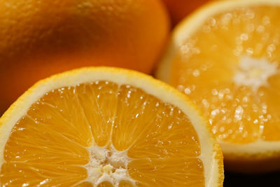 Close-up of orange