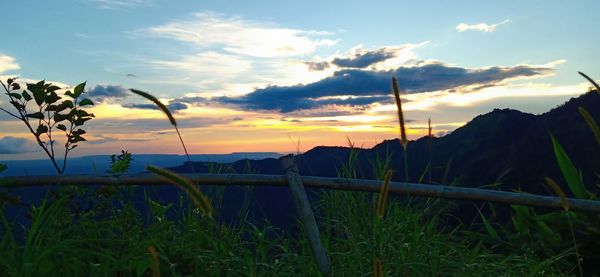 Scenic view of field against sky during sunset