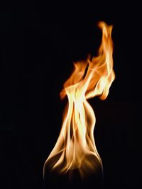 Close-up of fire against black background