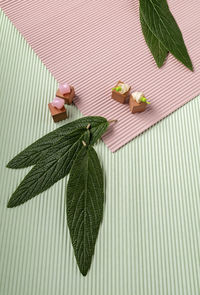 Close-up of leaves on table