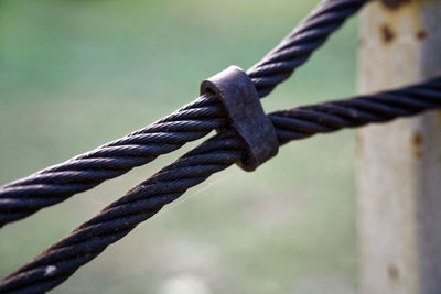 Close-up of rope tied to metal fence