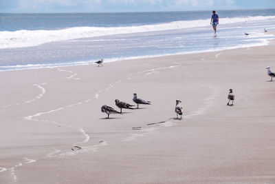 Group of people on beach