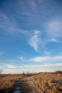 Scenic view of landscape against blue sky