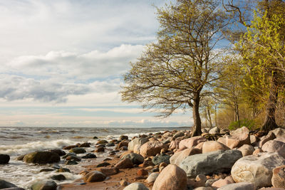 Rocks by sea against sky