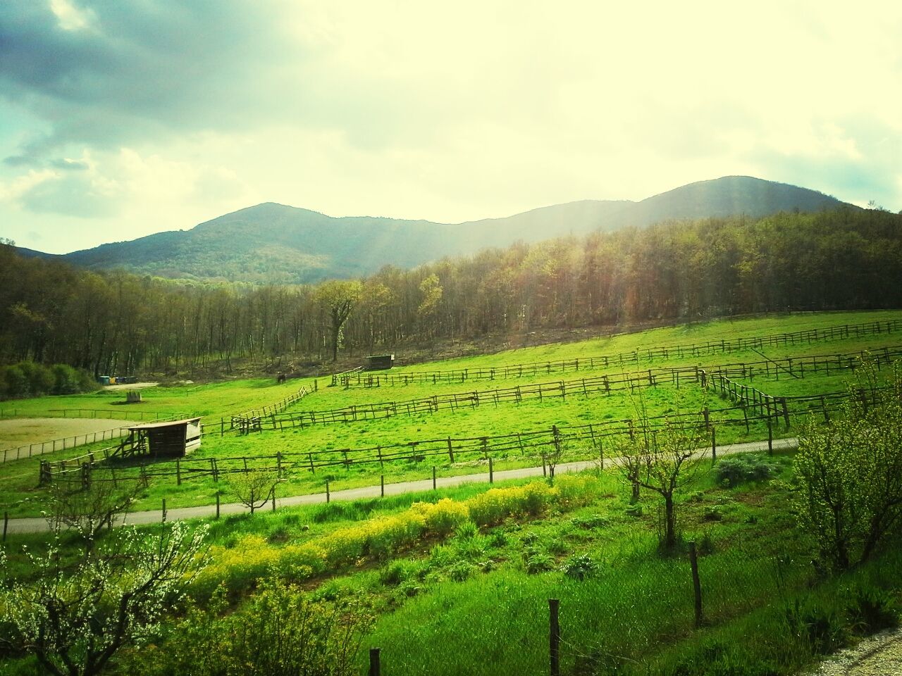 landscape, mountain, tranquil scene, tranquility, sky, field, scenics, rural scene, beauty in nature, green color, agriculture, nature, fence, growth, mountain range, farm, grass, tree, vineyard, non-urban scene