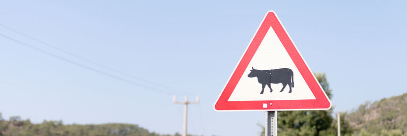 Traffic safety signs on city street road. triangular danger sign of the movement of animals