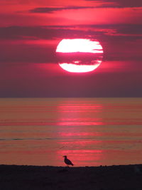 Scenic view of sunset sky