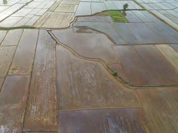 Full frame shot of agricultural field