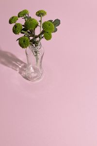 Close-up of flowers against pink background