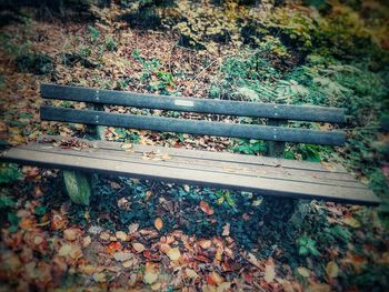 High angle view of bench in park during autumn