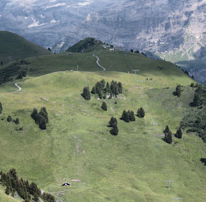 High angle view of trees on landscape