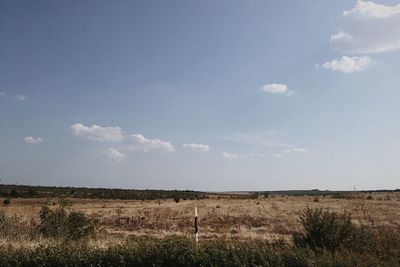 Scenic view of field against sky