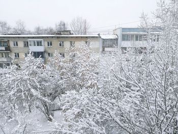 Snow covered tree by building against sky