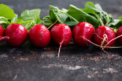 Close-up of radishes in row on weathered table