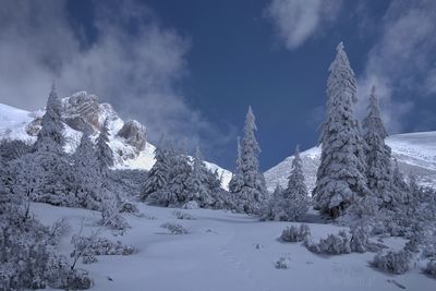 Panoramic view of snow covered mountain against sky