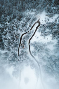 Aerial view of snow covered trees on field 