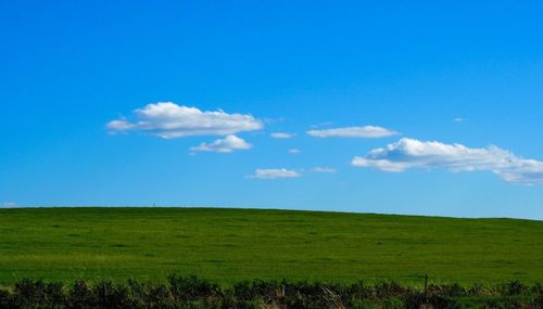 Scenic view of grassy field against cloudy sky