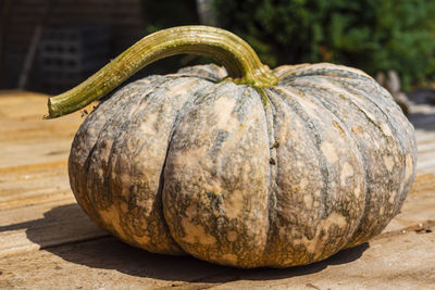 Close-up of pumpkin on table