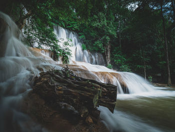 Waterfall in forest