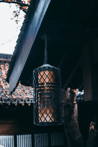 Close-up of birds on building