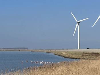 environmental conservation