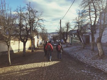 People walking on bare trees against sky