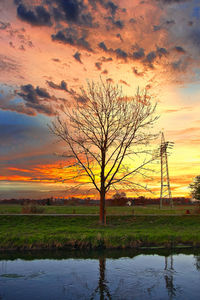 Bare tree on field against sky during sunset