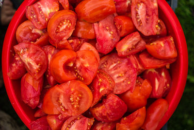 Close-up of tomatoes