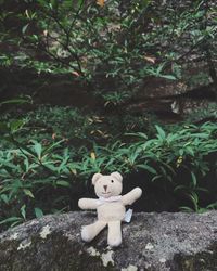 View of a dog sitting on rock