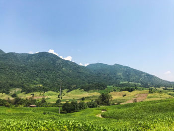 Scenic view of landscape against sky