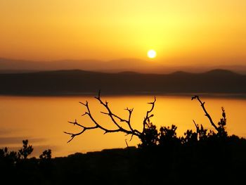 Silhouette plants by lake against romantic sky at sunset