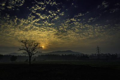 Silhouette trees on field against sky during sunset